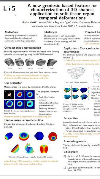 A new geodesic-based feature for characterization of 3D shapes