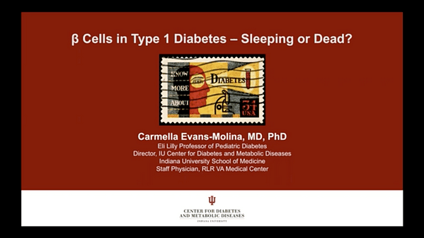 ß Cells in Type 1 Diabetes - Sleeping or Dead