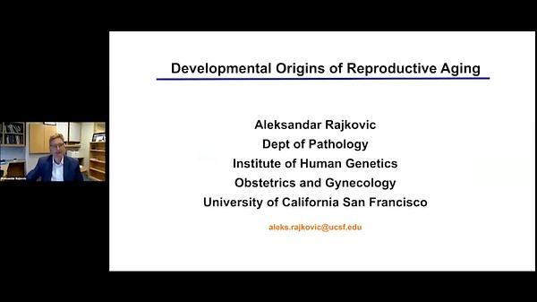 Developmental Origins of Reproductive Aging