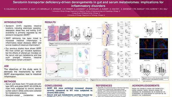 Serotonin transporter deficiency-driven metabolomic derangements drive intestinal inflammation